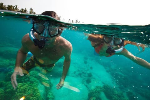 Tulum Snorkeling Experience in Front of the Mayan Ruins — photo 5