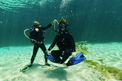 Wonders of the Underwater World: Discover Scuba Diving in Tulum — photo 2