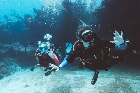 Wonders of the Underwater World: Discover Scuba Diving in Tulum — photo 9