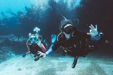 Scuba Diving for Beginners in Tulum — photo 7
