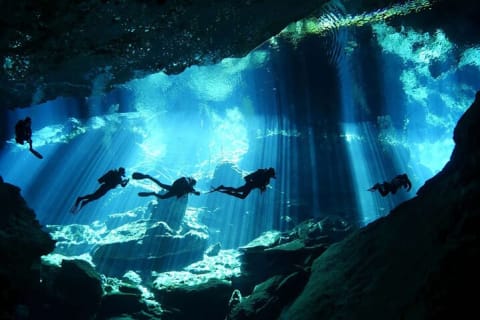 5-Hour SCUBA Diving in the Mystical Cenotes of Tulum — photo 6