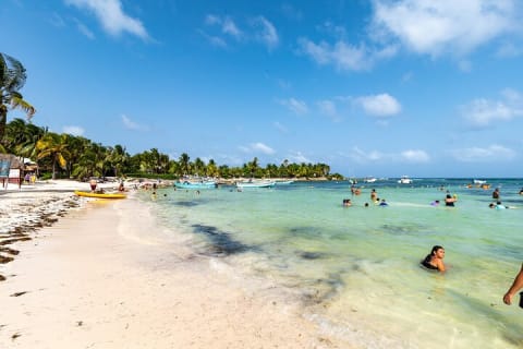 From Tulum: Akumal Beach Swim and Snorkel with Turtles Experience — photo 7