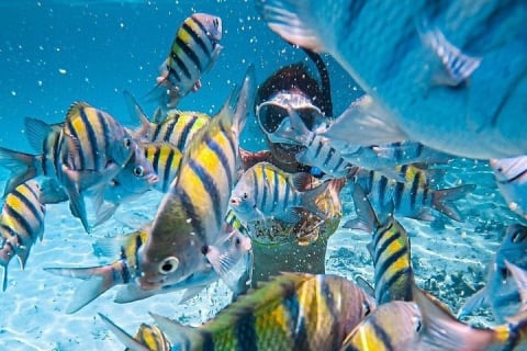 Tour en barco y snorkel a las 5 islas de Los Arcos — photo 12
