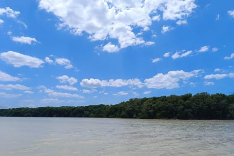Paseo en lancha por la playa y los manglares de Celestún desde Mérida — photo 9