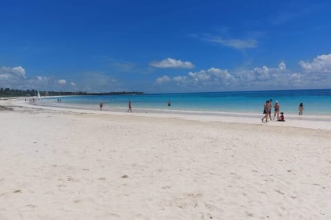 Private Tulum and Beach Experience — photo 5