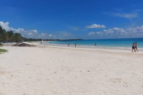 Private Tulum and Beach Experience — photo 6