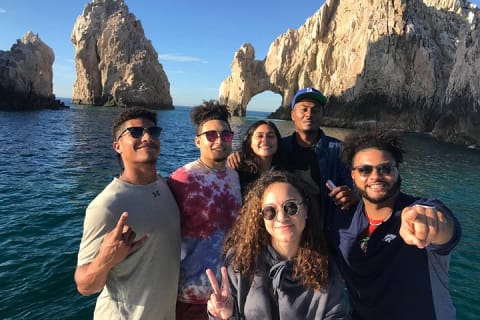 Snorkeling ou baignade avec les requins à Cabo San Lucas — photo 11