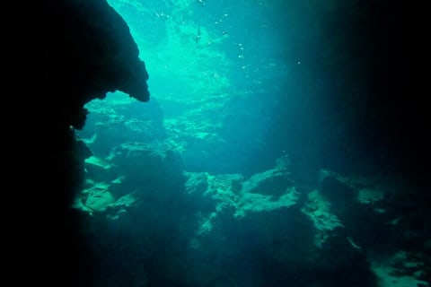 Entrance tickets to swim in 4 Cenotes in Casa Tortuga Park — photo 6
