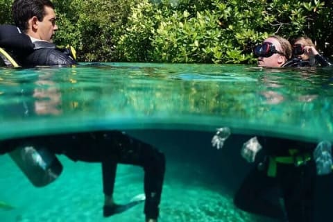 Scuba Diving for Beginners in Tulum — photo 2