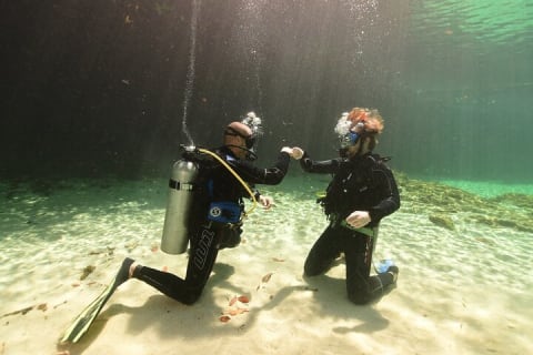 Scuba Diving for Beginners in Tulum — photo 6