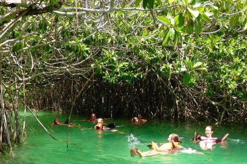 Sian Kaan Natural Reserve and Muyil Mayan Ruins from Tulum — photo 15