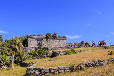 TULUM 4x1, Archaeological area, COBA, Cenote, transportation and lunch — photo 13