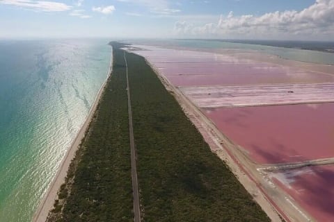 Las Coloradas Amazing Pink Lake & Rio Lagartos from Tulum — photo 15