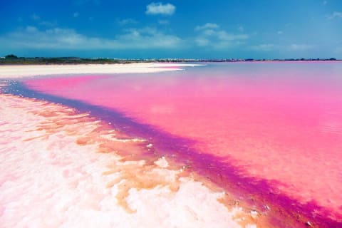 Las Coloradas and Rio Lagartos Tour with All Inclusive — photo 7