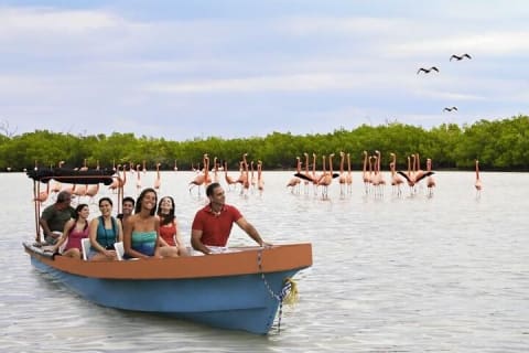 Las Coloradas and Rio Lagartos Tour with All Inclusive — photo 14