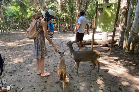 Excursion d'une demi-journée à Ventanilla, Mazunte, Zipolite et Puerto Ángel — photo 10