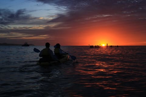 Cabo San Lucas Arch and Lovers Beach Kayak Tour plus Snorkeling — photo 7