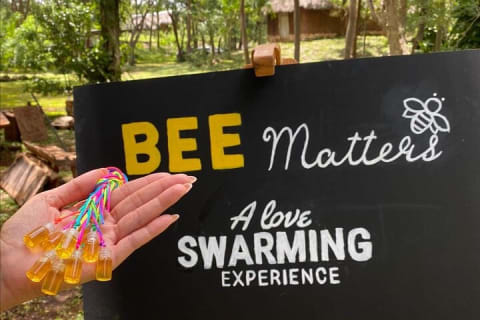 Private Activity Full Day Bee Matters Protect a Bee — photo 5