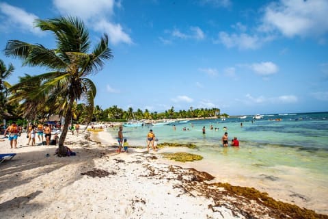 From Tulum: Akumal Beach Swim and Snorkel with Turtles Experience — photo 8
