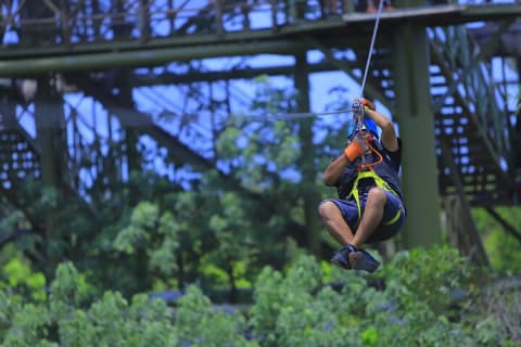 Jungle Adventure: Ziplines, Cenote Swim, Snack & Transportation — photo 5