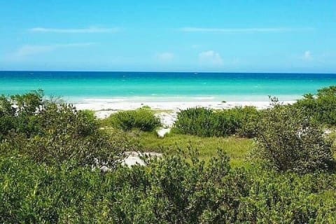 Coloradas Adventure and Cancunito Beach Tour from Merida — photo 8
