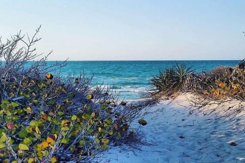 Coloradas Adventure and Cancunito Beach Tour from Merida — photo 10