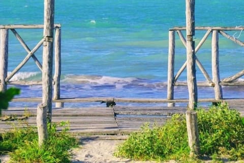Coloradas Adventure and Cancunito Beach Tour from Merida — photo 12