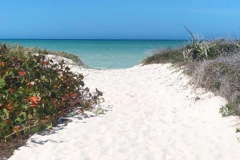 Coloradas Adventure and Cancunito Beach Tour from Merida — photo 13