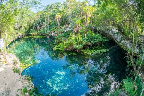2 Cenotes Private Tour – VIP Adventure with Expert Guide — photo 2