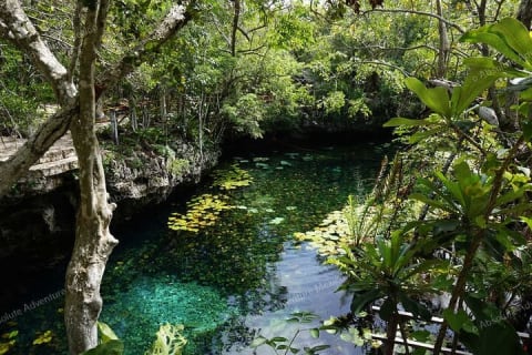 2 Cenotes Private Tour – VIP Adventure with Expert Guide — photo 7