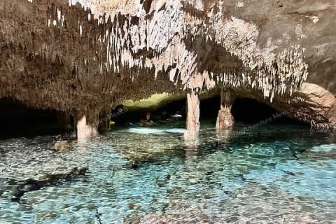 2 Cenotes Private Tour – VIP Adventure with Expert Guide — photo 8
