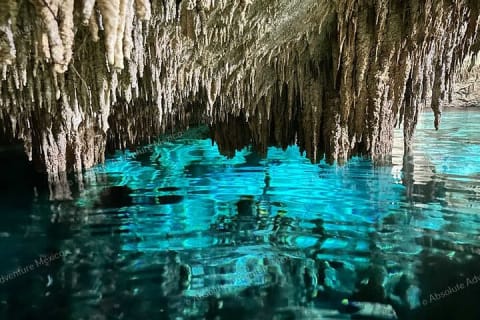 2 Cenotes Private Tour – VIP Adventure with Expert Guide — photo 1