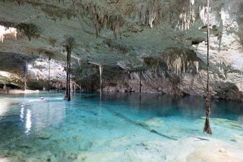 2 Cenotes Private Tour – VIP Adventure with Expert Guide — photo 11
