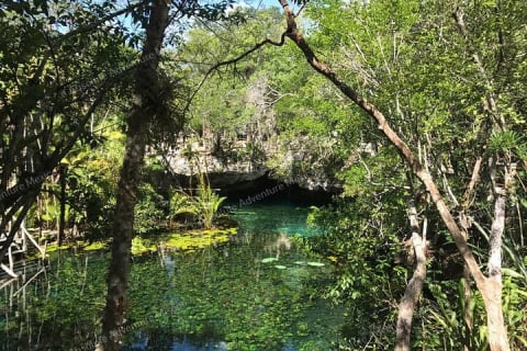 Turtle Snorkeling Private Tour – Sea Turtles & Cenote in Tulum — photo 7