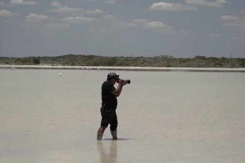 Full Day Tour from Tulum to Rio Lagartos — photo 1