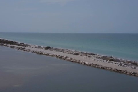 Full Day Tour from Tulum to Rio Lagartos — photo 4