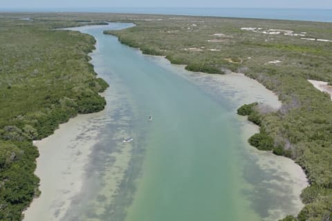 Full Day Tour from Tulum to Rio Lagartos — photo 5