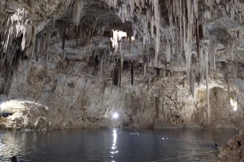 Full Day Tour from Tulum to Rio Lagartos — photo 13