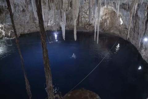 Full Day Tour from Tulum to Rio Lagartos — photo 14