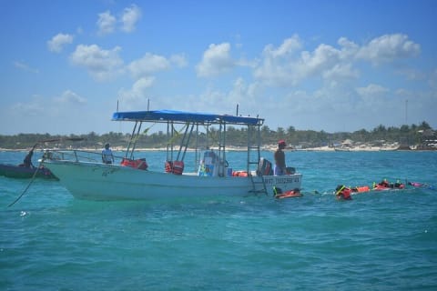 Experience Mayan Snorkeling and Swimming in Lagoon / Cenote in Tulum — photo 4