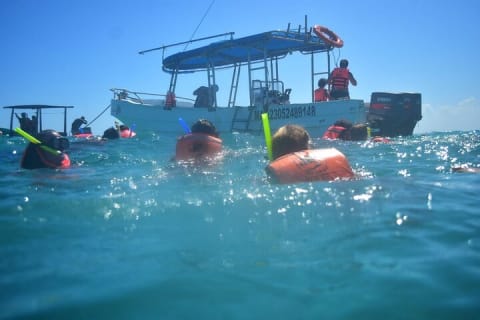 Experience Mayan Snorkeling and Swimming in Lagoon / Cenote in Tulum — photo 5