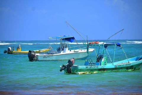 Experience Mayan Snorkeling and Swimming in Lagoon / Cenote in Tulum — photo 6