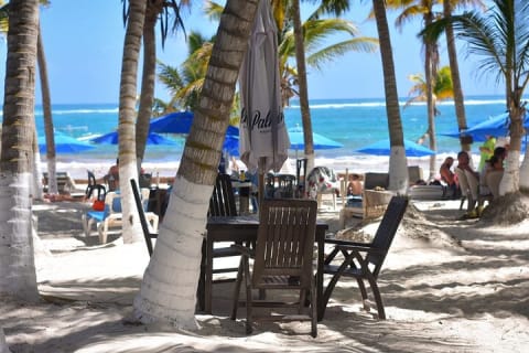 Experience Mayan Snorkeling and Swimming in Lagoon / Cenote in Tulum — photo 7
