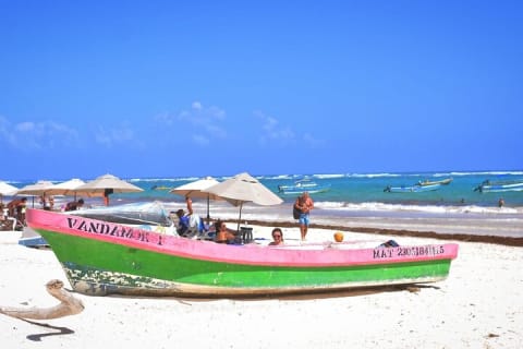 Experience Mayan Snorkeling and Swimming in Lagoon / Cenote in Tulum — photo 8