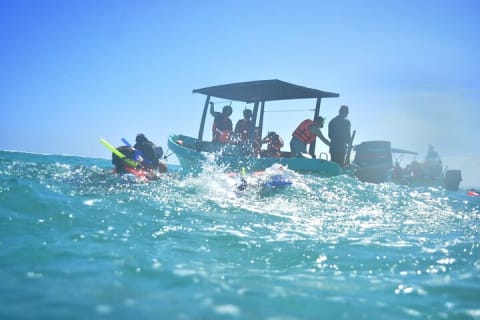 Experience Mayan Snorkeling and Swimming in Lagoon / Cenote in Tulum — photo 9