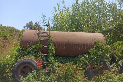 Búsqueda del tesoro en Todos Santos — photo 2