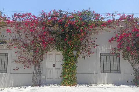 Búsqueda del tesoro en Todos Santos — photo 4