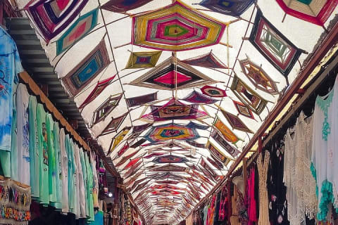 Búsqueda del tesoro en Todos Santos — photo 7