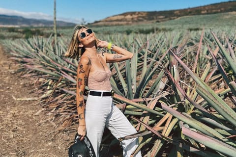 El viaje del mezcal — photo 10