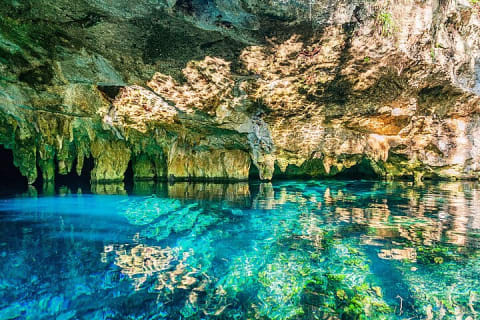Tulum : Cenote Swim & Turtle Tour with Ruins Visit & Buffette — photo 11